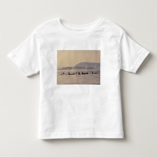 米国、ワシントン、サンフアン諸島オルカ トドラーTシャツ (正面)