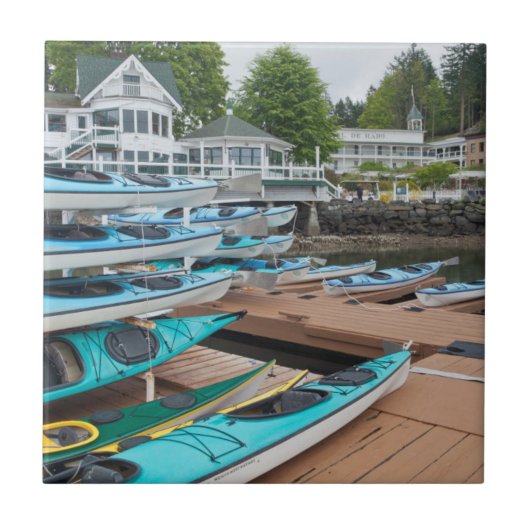 米国、ワシントン、サンフアン諸島 タイル (正面)