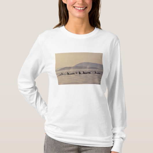 米国 ワシントン サン ファン アイランド シャチ Tシャツ (正面)