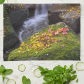 米国、ワシントン、シアトル キッチンタオル (折り畳み)