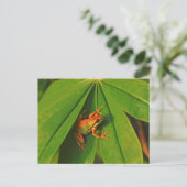 米国、ワシントン、シアトル、ディスカバリーパーク2 ポストカード (スタンド正面)