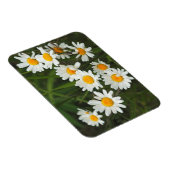 米国,ワシントン,シアトル,ピューゲサウンド3 マグネット (右側)