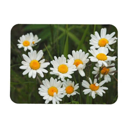 米国,ワシントン,シアトル,ピューゲサウンド3 マグネット (横)