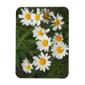 米国,ワシントン,シアトル,ピューゲサウンド3 マグネット (縦)