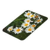 米国,ワシントン,シアトル,ピューゲサウンド3 マグネット (左側)