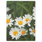 米国、ワシントン、シアトル、ピュージェットサウンド3 クリップボード (裏面)