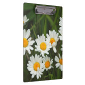 米国、ワシントン、シアトル、ピュージェットサウンド3 クリップボード (右)