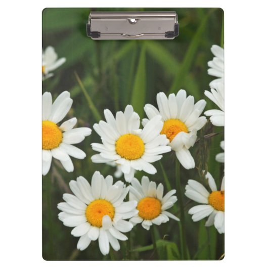 米国、ワシントン、シアトル、ピュージェットサウンド3 クリップボード (正面)