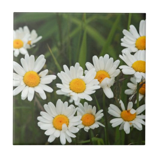 米国、ワシントン、シアトル、ピュージェットサウンド3 タイル (正面)