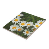 米国、ワシントン、シアトル、ピュージェットサウンド3 タイル (側面)