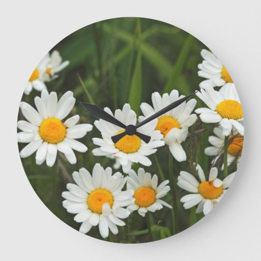 米国、ワシントン、シアトル、ピュージェットサウンド3 ラージ壁時計 (正面)