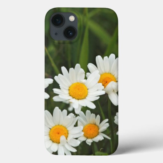 米国、ワシントン、シアトル、ピュージェットサウンド3 Case-Mate iPhoneケース (裏面)
