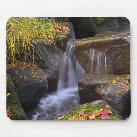 米国、ワシントン、シアトル マウスパッド (正面)