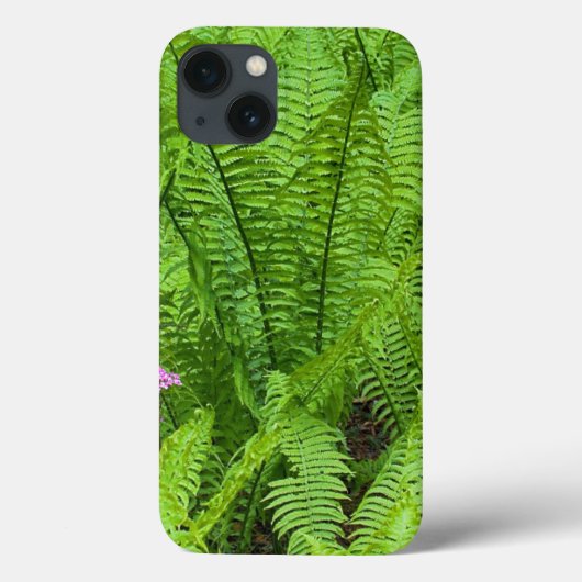 米国、ワシントン、シアトル、ワシントンパーク Case-Mate iPhoneケース (裏面)