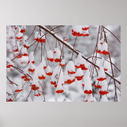 米国、ワシントン、スポケーン郡 ポスター (正面)