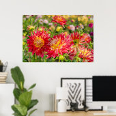 米国、ワシントン。ダリア花インガーデン ポスター (ホームオフィス)