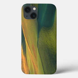 米国、ワシントン、パラウス、ホイットマン郡 iPhone 13ケース