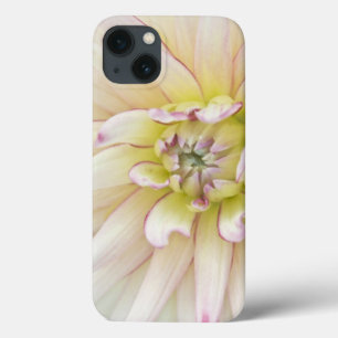 米国、ワシントン、ベルビュー、ベルビュー植物2 iPhone 13ケース