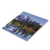 米国、ワシントン、ベーカー山、スヌクアルミー タイル (側面)