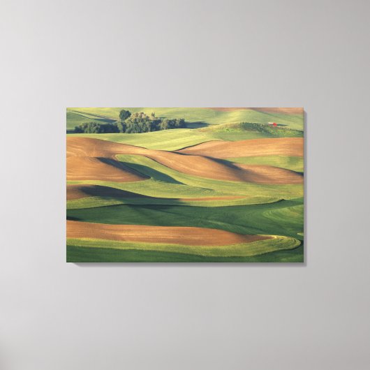 米国、ワシントン、ホイットマン郡。 キャンバスプリント (正面)