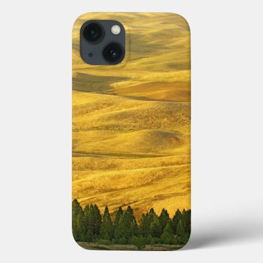米国、ワシントン、ホイットマン郡、パラウス、小麦 Case-Mate iPhoneケース (裏面)