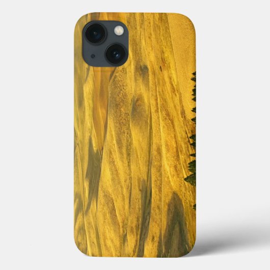 米国、ワシントン、ホイットマン郡、パラウス、小麦 Case-Mate iPhoneケース (裏面)