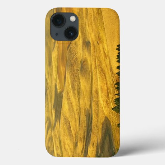 米国、ワシントン、ホイットマン郡、パラウス、小麦 Case-Mate iPhoneケース (裏面)