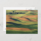 米国、ワシントン、ホイットマン郡。 ポストカード (正面/裏面)