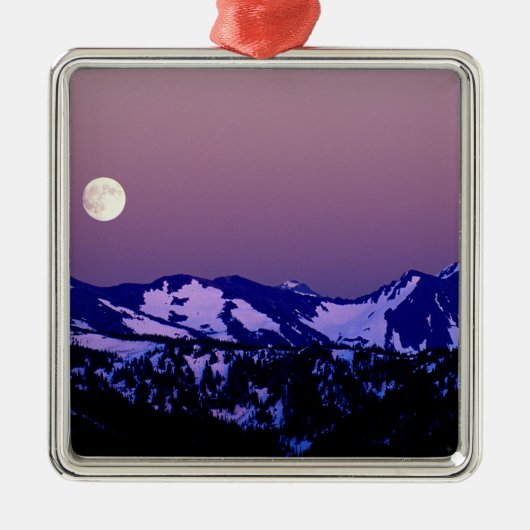 米国、ワシントン、ポートアンジェルス、オリンピック国 メタルオーナメント (正面)