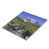 米国、ワシントン、レイニエ山NP、レイニエ山、2 タイル (側面)