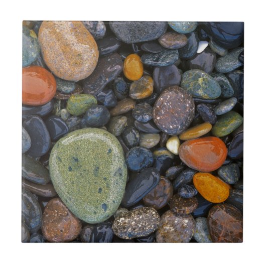 米国、ワシントン、ロペス島、アゲートビーチ タイル (正面)