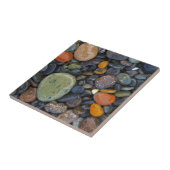 米国、ワシントン、ロペス島、アゲートビーチ タイル (側面)