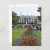 米国、ワシントンD.C.。 北側面 ポストカード (正面/裏面)