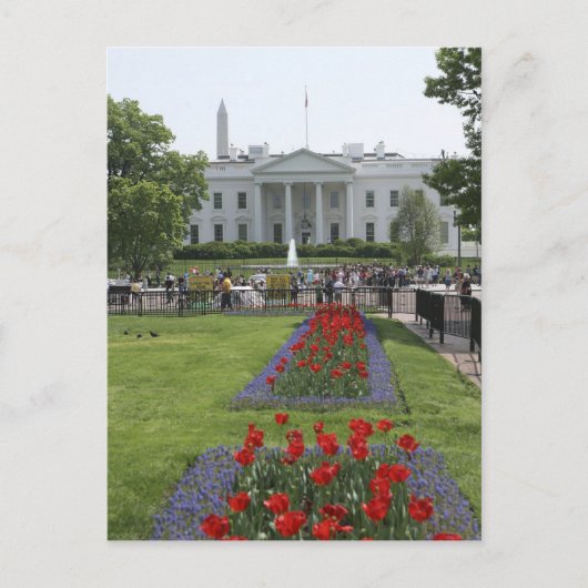 米国、ワシントンD.C.。 北側面 ポストカード (正面)