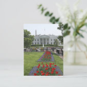 米国、ワシントンD.C.。 北側面 ポストカード (スタンド正面)