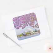 米国、ワシントンDC、さくらんぼツリー開花 スクエアシール (封筒)