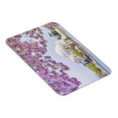 米国、ワシントンDC、さくらんぼツリー開花 マグネット (右側)