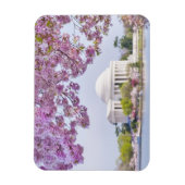 米国、ワシントンDC、さくらんぼツリー開花 マグネット (縦)