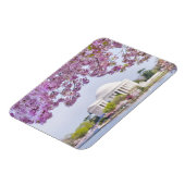 米国、ワシントンDC、さくらんぼツリー開花 マグネット (左側)