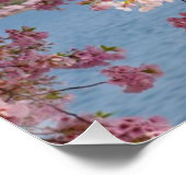 米国、ワシントンDC、さくらんぼツリー ポスター (コーナー)