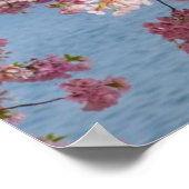 米国、ワシントンDC、さくらんぼツリー ポスター (角)