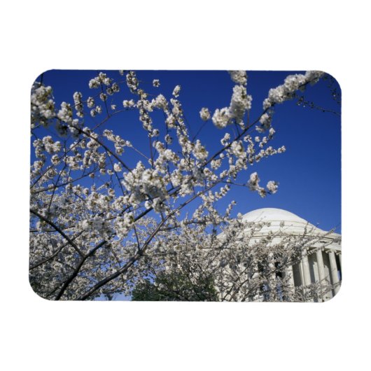 米国、ワシントンDC。さくらんぼブロッサムフェスティバルと2 マグネット (横)
