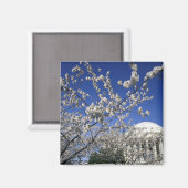 米国、ワシントンDC。さくらんぼブロッサムフェスティバルと2 マグネット (正面/裏面)