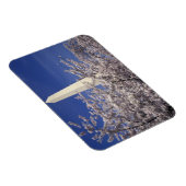 米国、ワシントンDC。さくらんぼブロッサムフェスティバルと マグネット (右側)