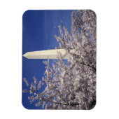 米国、ワシントンDC。さくらんぼブロッサムフェスティバルと マグネット (縦)