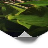 米国、ワシントンDC、キャピトル建物 ポスター (角)