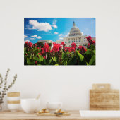 米国、ワシントンDC、キャピトル建物 ポスター (キッチン)