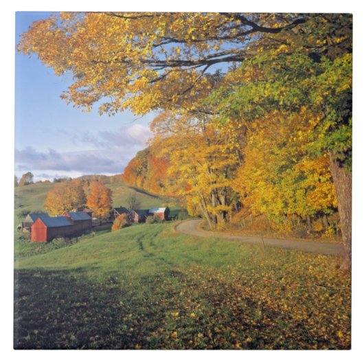 米国、ヴァーモントのJenneの農場。 秋はJenneに来ます タイル (正面)