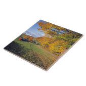 米国、ヴァーモントのJenneの農場。 秋はJenneに来ます タイル (側面)