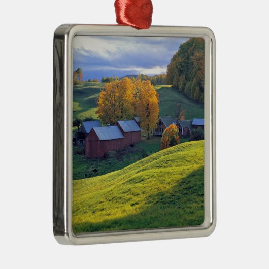 米国、ヴァーモントのJenneの農場。 緑の丘陵を転がること メタルオーナメント (右)